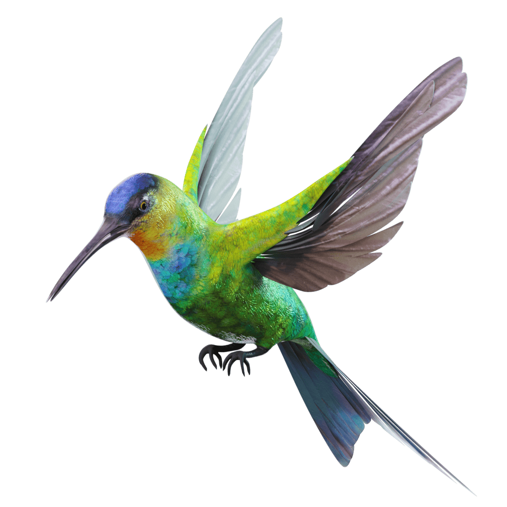 3D model of a hummingbird in Assemblr Studio, featuring vibrant colors and detailed wings in mid-flight, perfect for interactive learning and exploration.